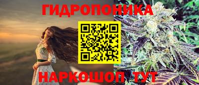 меф Кимры
