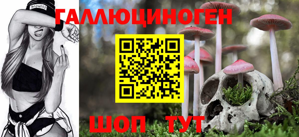Псилоцибиновые грибы GOLDEN TEACHER Котельники