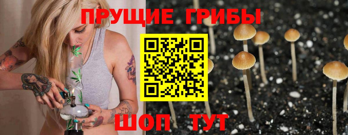 Галлюциногенные грибы ЛСД  Вход с VPN  Котельники 